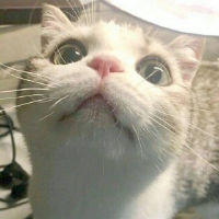 一只枷锁